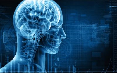 La memoria y la consciencia del agua en nuestro organismo