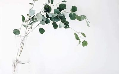 Línea sensitiva para pieles secas y delicadas