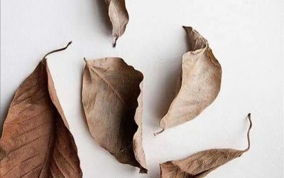 5 Autumn skincare tips